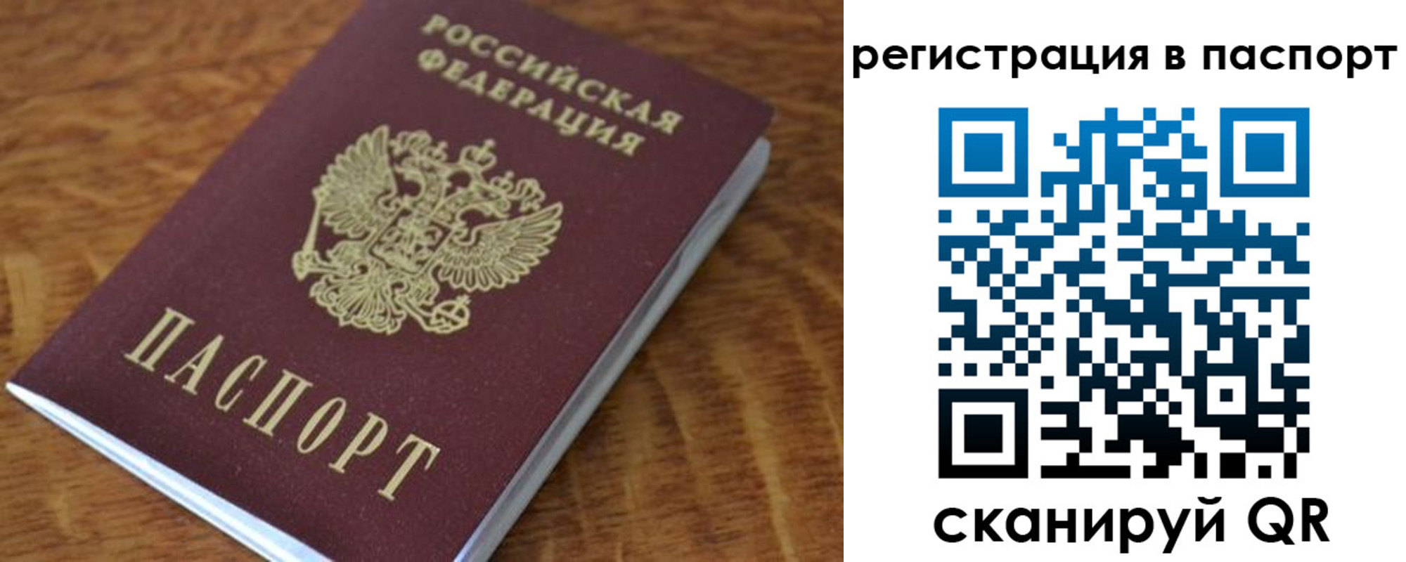 прописка гарантия в Октябрьском